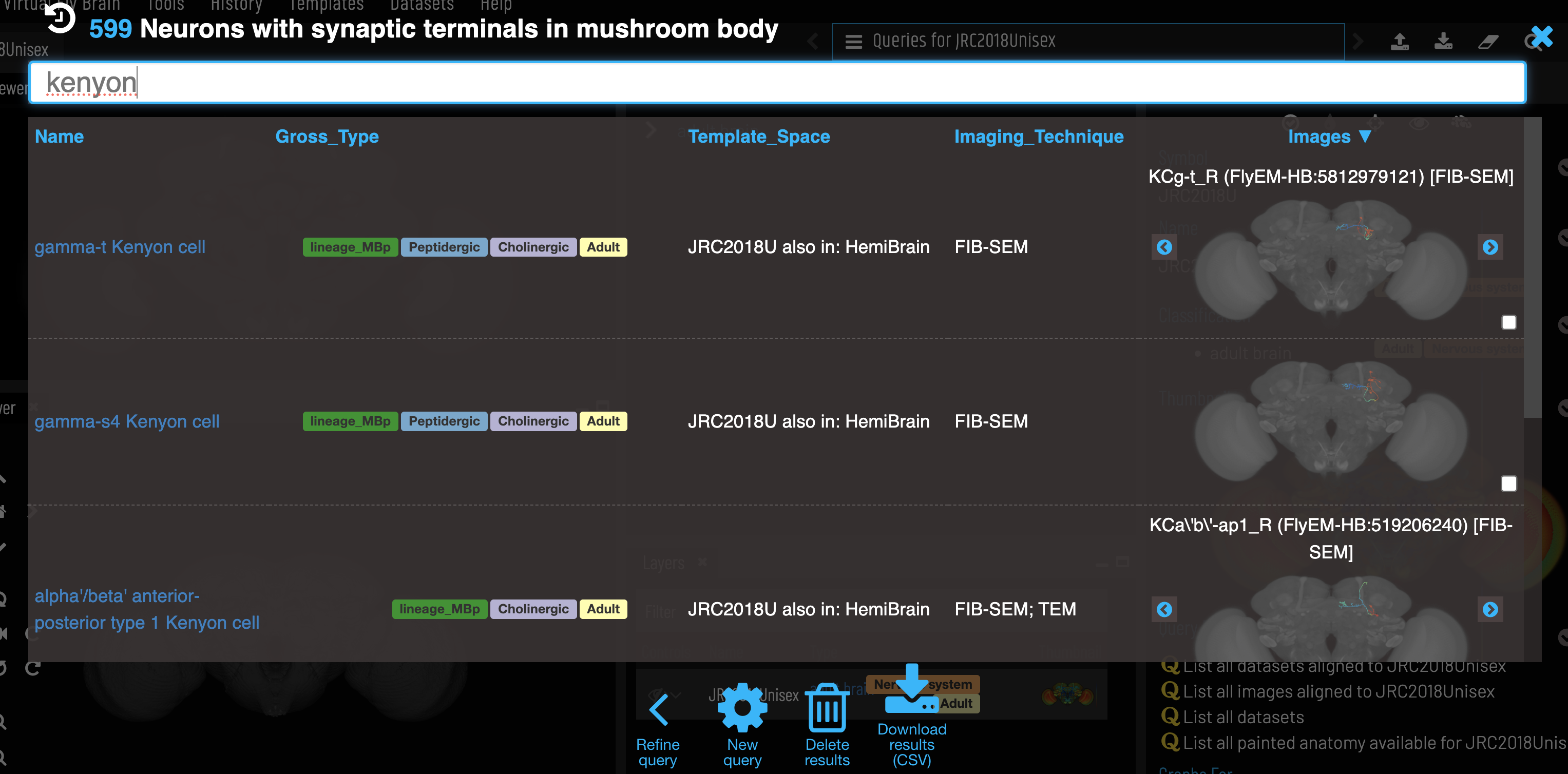 Results from an example query on VFB.